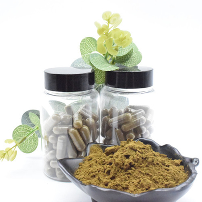 عصاره گیاهی Ajuga Turkestanica عصاره پودر ترکسترون