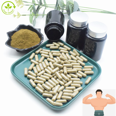 عصاره Ajuga Turkestanica عمده فروشی فله 2% 10% CAS 41451-87-0 عصاره ترکسترون پودر ترکسترون