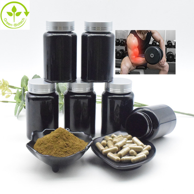 عصاره Ajuga Turkestanica عمده فروشی فله 2% 10% CAS 41451-87-0 عصاره ترکسترون پودر ترکسترون
