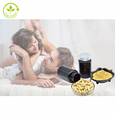 عصاره گیاهی کپسول Tongkat Ali 500mg/60caps/Bottle Eurycomanone Powder 1% 3% 5% 10% Tongkat Ali Extract