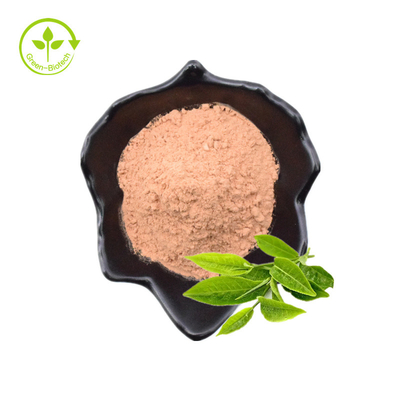 فله کارخانه عرضه عصاره چای سبز خالص پودر اپیکاتچین 98% Egcg چای پلی فنول عصاره چای سبز