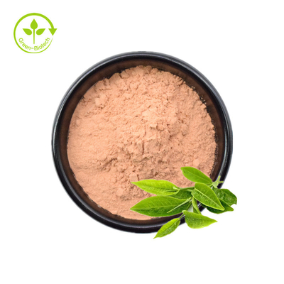 فله کارخانه عرضه عصاره چای سبز خالص پودر اپیکاتچین 98% Egcg چای پلی فنول عصاره چای سبز