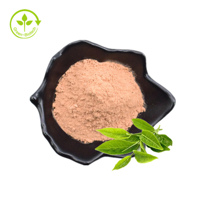 پلی فنول چای، EGCG، پودر عصاره چای سبز