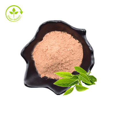 پلی فنول چای، EGCG، پودر عصاره چای سبز