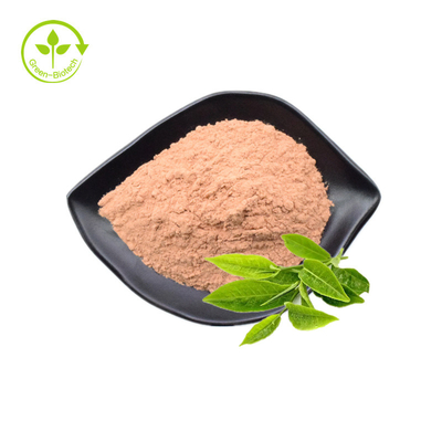 عصاره برگ چای سبز با درجه غذایی پلی فنول 98% کاتچین 80% تخم مرغ 60% پودر فله