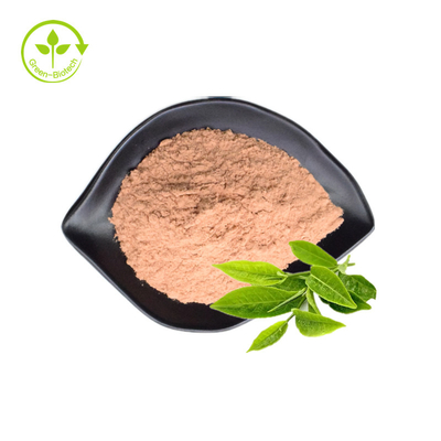 پودر خالص ارگانیک عصاره چای سبز 98% پلی فنول چای EGCG
