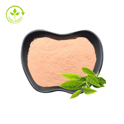 عصاره چای سبز 20% 30% پودر ال تیانین طبیعی