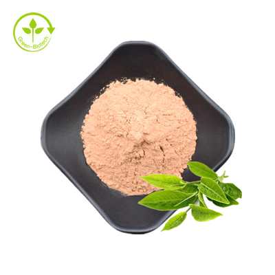 عصاره چای سبز 20% 30% پودر ال تیانین طبیعی