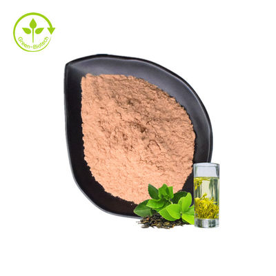 پودر عصاره پلی فنول چای سبز دارای اثر آنتی اکسیدانی است