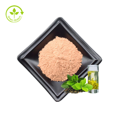 تولیدکنندگان پلی فنل چای، پودر پلی فنول عصاره چای سبز را با فروش داغ عرضه می کنند 90% پلی فنول چای