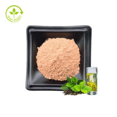 پودر عصاره چای سبز پلی فنول فوری ارگانیک 100% خالص با کیفیت بالا