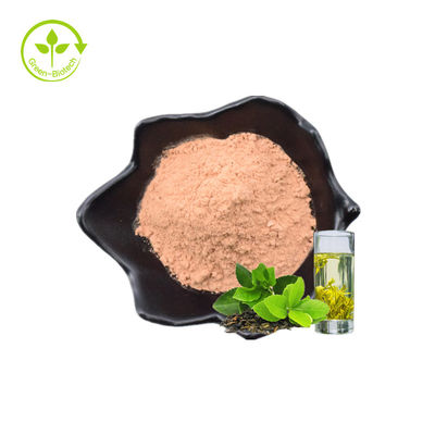 پودر فوری عصاره برگ گیاهی گیاهی عمده 60% سالم با کیفیت بالا