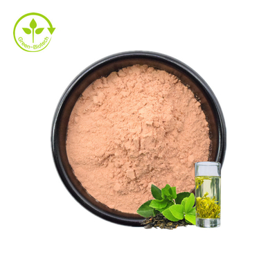 نمونه های رایگان ISO پودر چای سبز فوری 20% پلی فنول ها مواد غذایی بهداشتی محلول در آب عصاره چای سبز ارگانیک