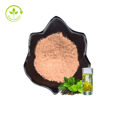 نمونه های رایگان ISO پودر چای سبز فوری 20% پلی فنول ها مواد غذایی بهداشتی محلول در آب عصاره چای سبز ارگانیک