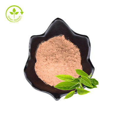 کاهش چربی خون عصاره چای سبز 40% پودر پلی فنول چای