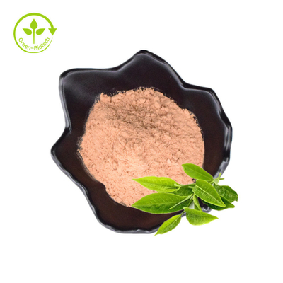 خرید پودر عصاره چای سبز با کیفیت استاندارد با تولید ارگانیک برای فروش توسط صادرکنندگان هندی با قیمت پایین