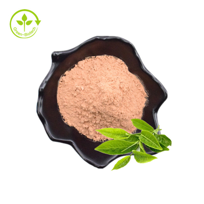 عمده فروشی عمده 98% عصاره چای سبز پودر پلی فنول چای سبز
