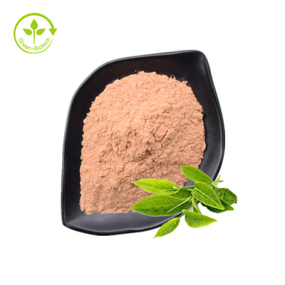 پلی فنول چای، EGCG، پودر عصاره چای سبز