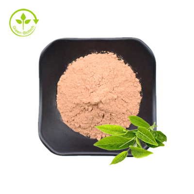 عمده فروشی عصاره چای سبز فله پودر عصاره چای سبز پلی فنول 50% پودر قهوه ای