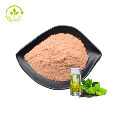 عصاره چای سبز با کیفیت بالا 45% EGCG پودر عصاره چای سبز