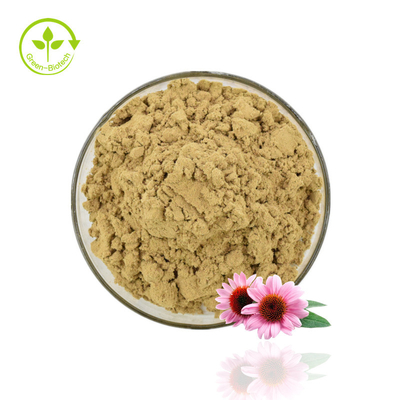 پودر عصاره اکیناسه با کیفیت بالا عصاره اکیناسه پورپوره 4% پودر پلی فنل