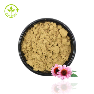 پودر عصاره اکیناسه با کیفیت بالا عصاره اکیناسه پورپوره 4% پودر پلی فنل