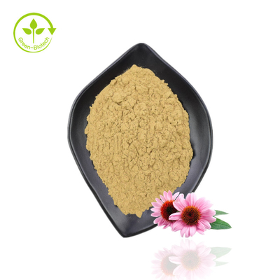 پودر عصاره ارگانیک اکیناسه با کیفیت بالا