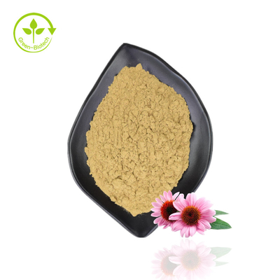 پودر عصاره ارگانیک اکیناسه با کیفیت بالا