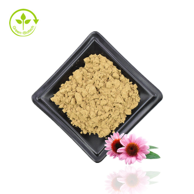 عصاره اکیناسه پورپوره عصاره طبیعی اکیناسه پورپوره عصاره گل اکیناسه پورپوره 4% پلی فنول