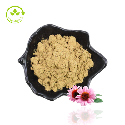 عرضه کننده اصلی عصاره ریشه اکیناسه پورپوره با درجه غذایی با کیفیت خوب
