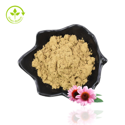 عرضه کننده اصلی عصاره ریشه اکیناسه پورپوره با درجه غذایی با کیفیت خوب