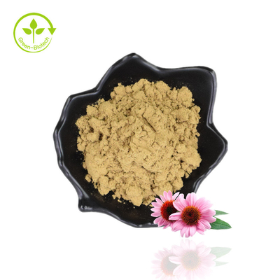 فله 4% پلی فنل عصاره اکیناسه پورپوره پودر عصاره گل مخروطی بنفش