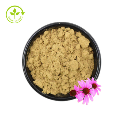 گواهی ایزو 100% عصاره طبیعی اکیناسه عصاره اکیناسه پورپوره 10% پلی فنول