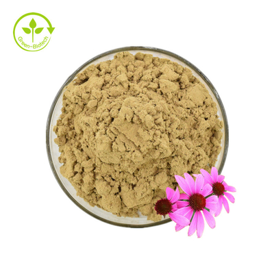 گواهی ایزو 100% عصاره طبیعی اکیناسه عصاره اکیناسه پورپوره 10% پلی فنول