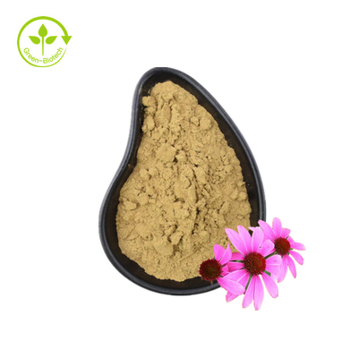 استخراج ارگانیک Echinacea Purpurea استخراج ریشه Echinacea