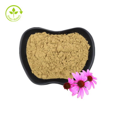 استخراج ارگانیک Echinacea Purpurea استخراج ریشه Echinacea