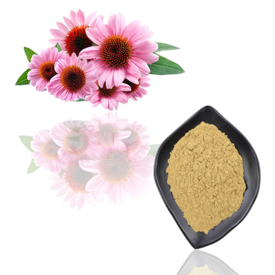 عصاره خالص گیاه اکیناسه پورپوره 1% پودر اسید کاسنی