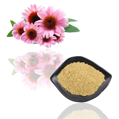 پودر عصاره گیاهی درجه غذا عصاره گل اکیناسه پورپوره