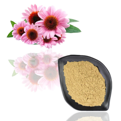 گواهی ایزو 100% طبیعی عصاره اکیناسه پورپوره 10% پلی فنل