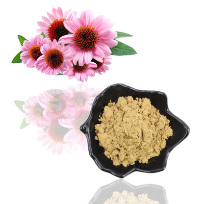 عصاره خالص طبیعی ارگانیک اکیناسه پورپوره 4% پودر پلی فنل