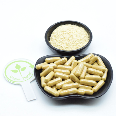ریشه جینسینگ گیاه طبیعی استخراج پودر جینسینگ تازه و خشک