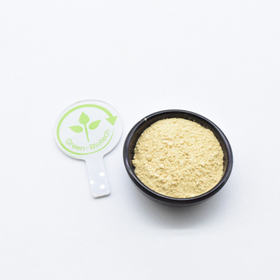 کیفیت بالا 6 سال ریشه جینسینگ خشک شده Panax عصاره ریشه جینسینگ