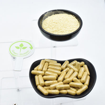 گیاه وحشی طبیعی ریشه جینسینگ سفید خشک شده عصاره استاندارد کیفیت اتحادیه اروپا ریشه جینسینگ