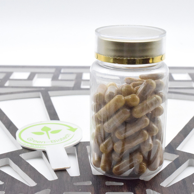 عرضه کارخانه Ginseng Root Powder Panax Ginseng Extract 20:1 جینسنوزید 80٪