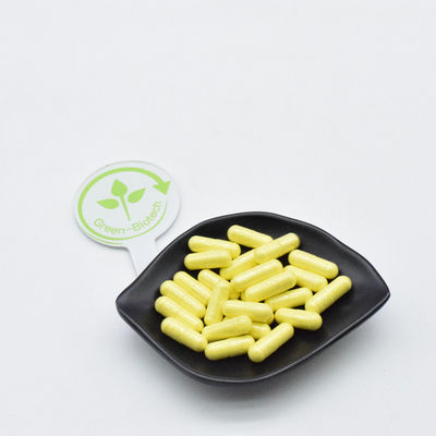 پودر پروتئین گرده کاج مغذی و خوشمزه مکمل پودر پروتئین انرژی