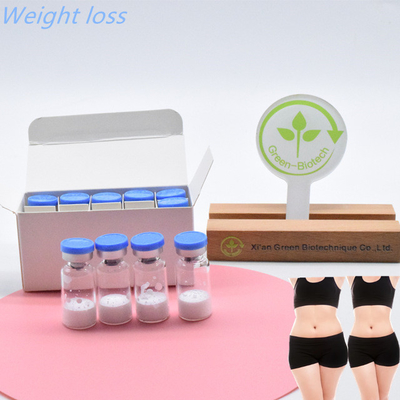 داروی تزریقی با کیفیت بالا  Semaglutide For Bodybuilding