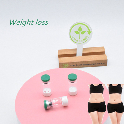 عرضه فابریکه سفیدی  Semaglutide شیش های فروش داغ در بازار آمریکا