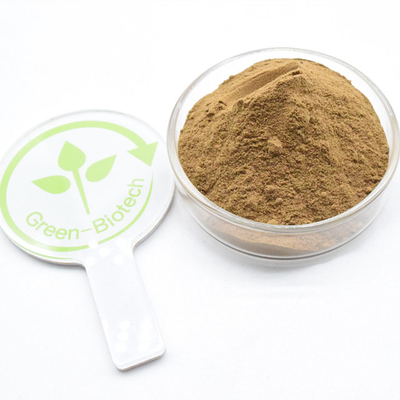 بهترین قیمت پودر نازک قهوه ای Dendrobium Nobile Lindl Extract