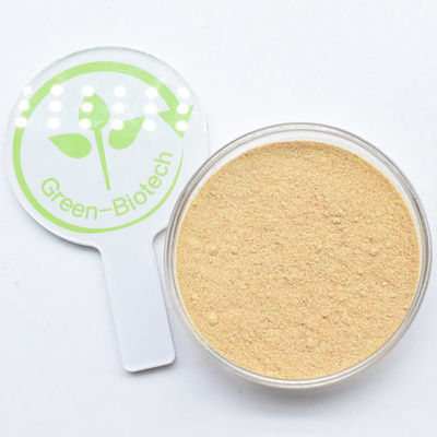 سرویس OEM Cyanotis Arachnoidea استخراج اکدیسترون کپسول اکدیسترون