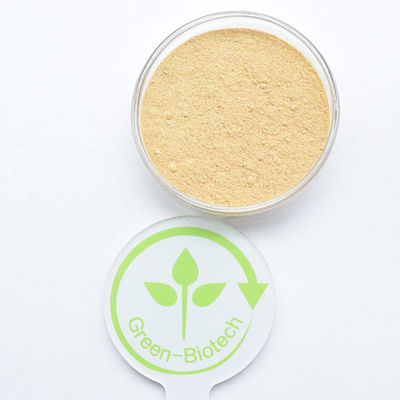 HPLC 90٪ Cyanotis Arachnoidea Extract Beta Ecdysterone پودر هیدروکسیکدیسون